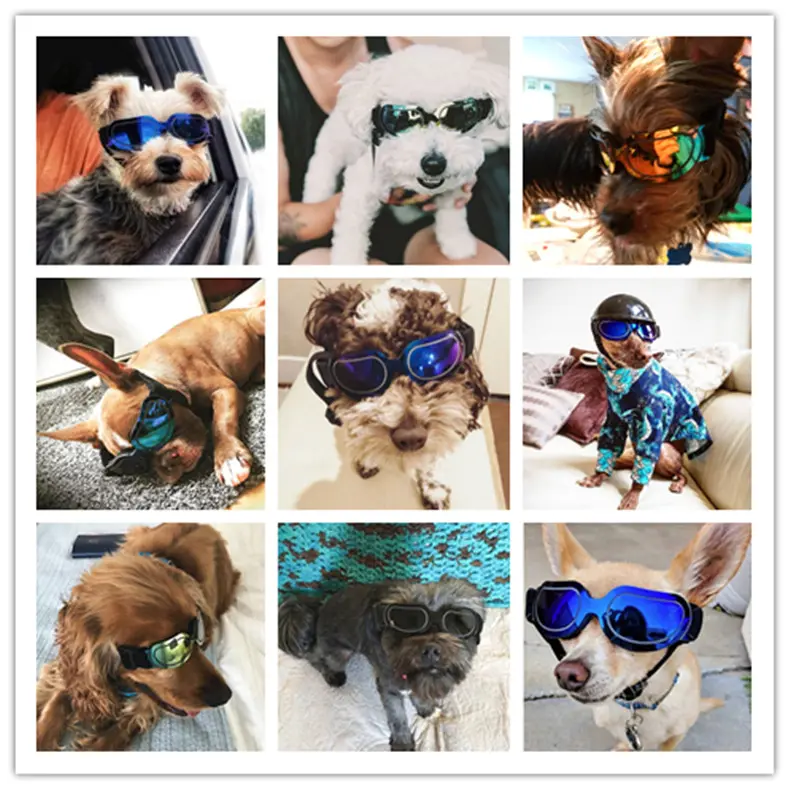 Pet supplies colorful dog glasses sunglasses Amazon