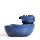 Blue Us