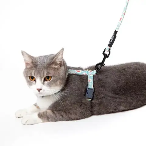 Slipping Cat Rope