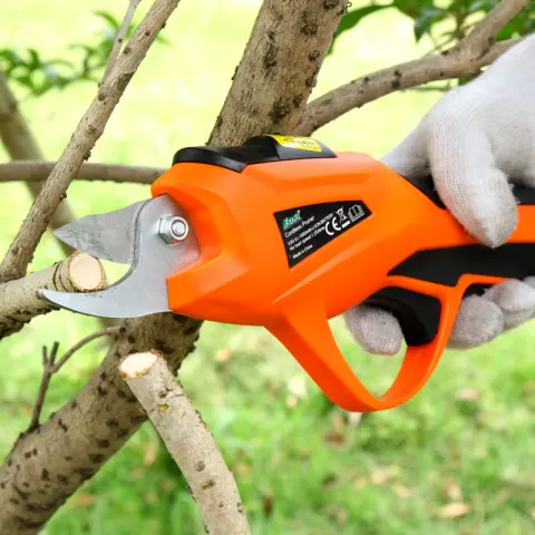 Branch Scissors