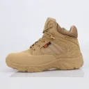 Sand Color-37