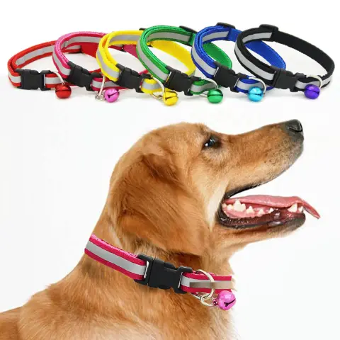 Fluorescent Dog Collar