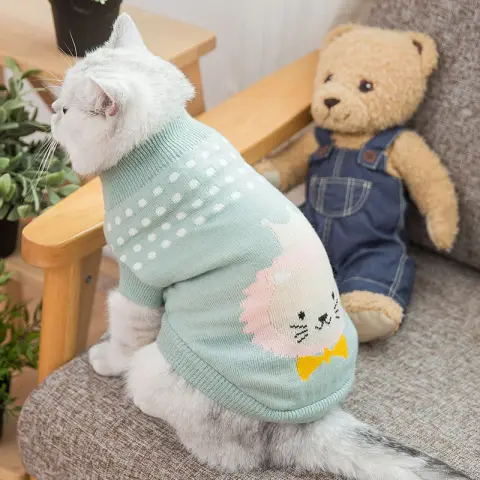 Dog Clothes