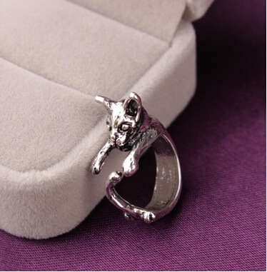 Cute animal opening ring cat playing tail