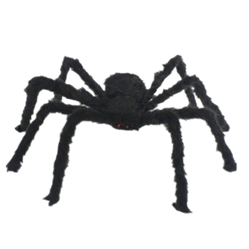 Black spider