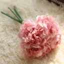 Dark Pink