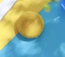 Lemon Yellow