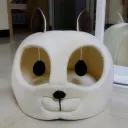 Cat White