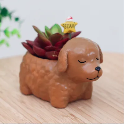 Creative Sleeping Pet Succulent Flower Pot Teddy - Shop at LoveMi