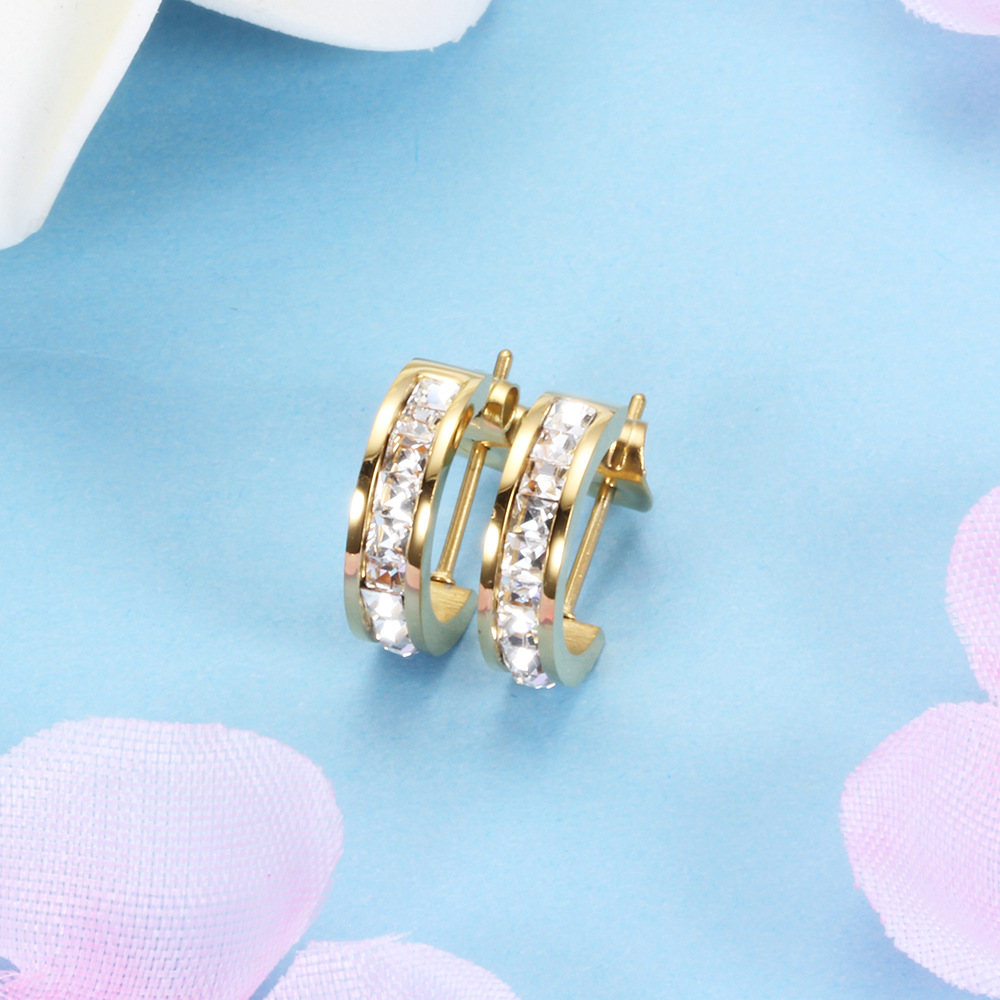 Micro-inlaid zircon ladies earrings