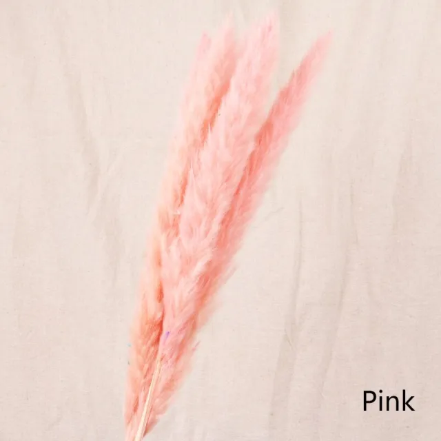 Reed dried flower home decoration Pink - Shop at LoveMi