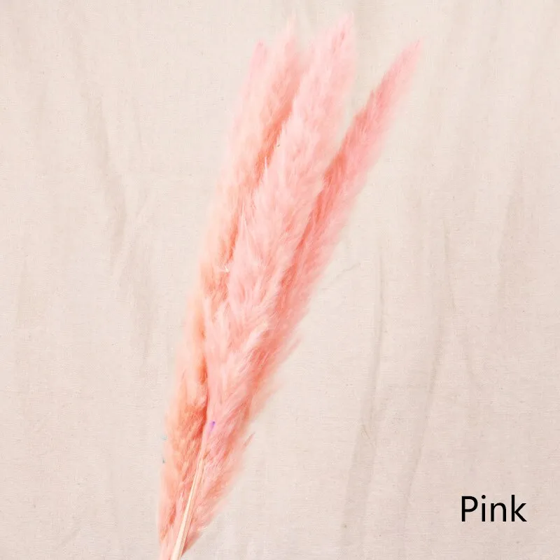 Reed dried flower home decoration - Pink