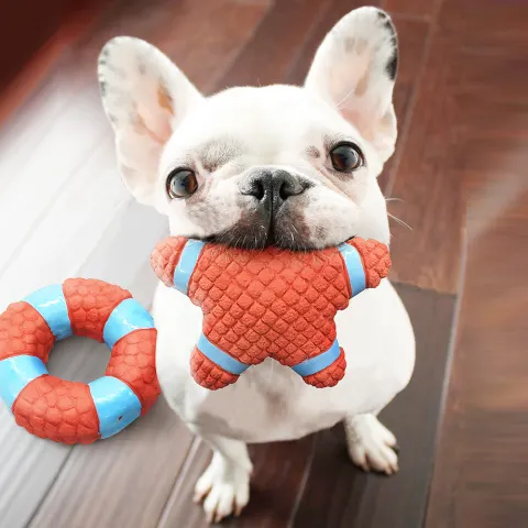 Latex Interactive Molar Toy