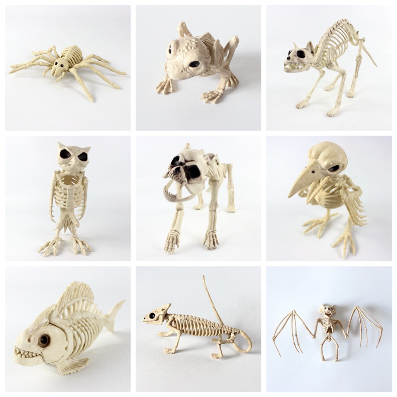 Halloween Decoration Artificial Animal Skeleton (20cm-Gecko)
