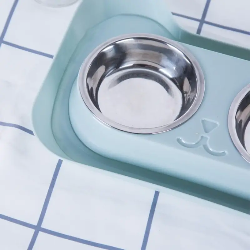 The cat bowl