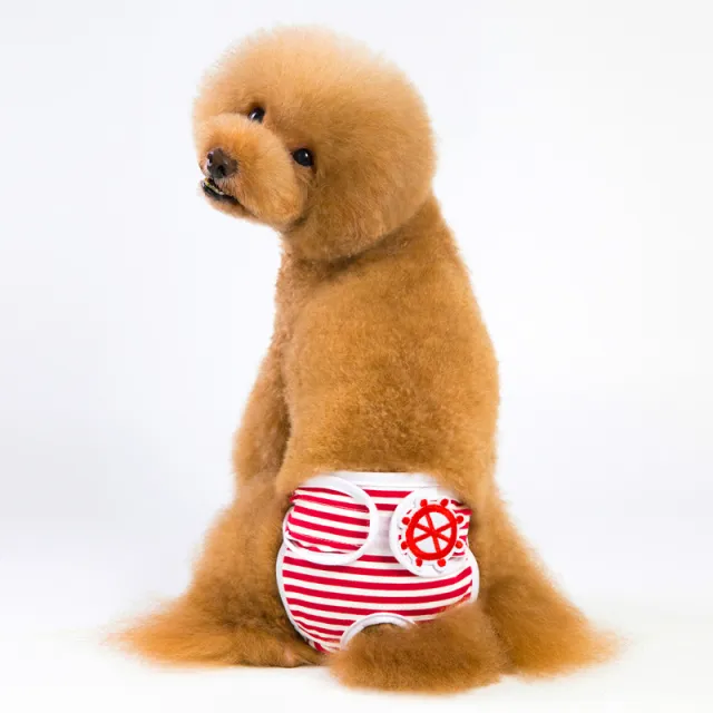 Menstruation pants Red - Shop at LoveMi