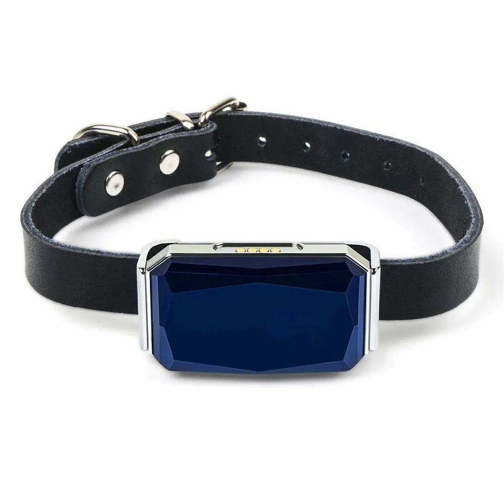 Gps Tracker
