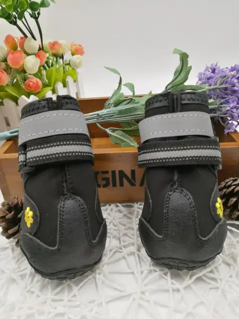 Pet Shoes Wear Dog