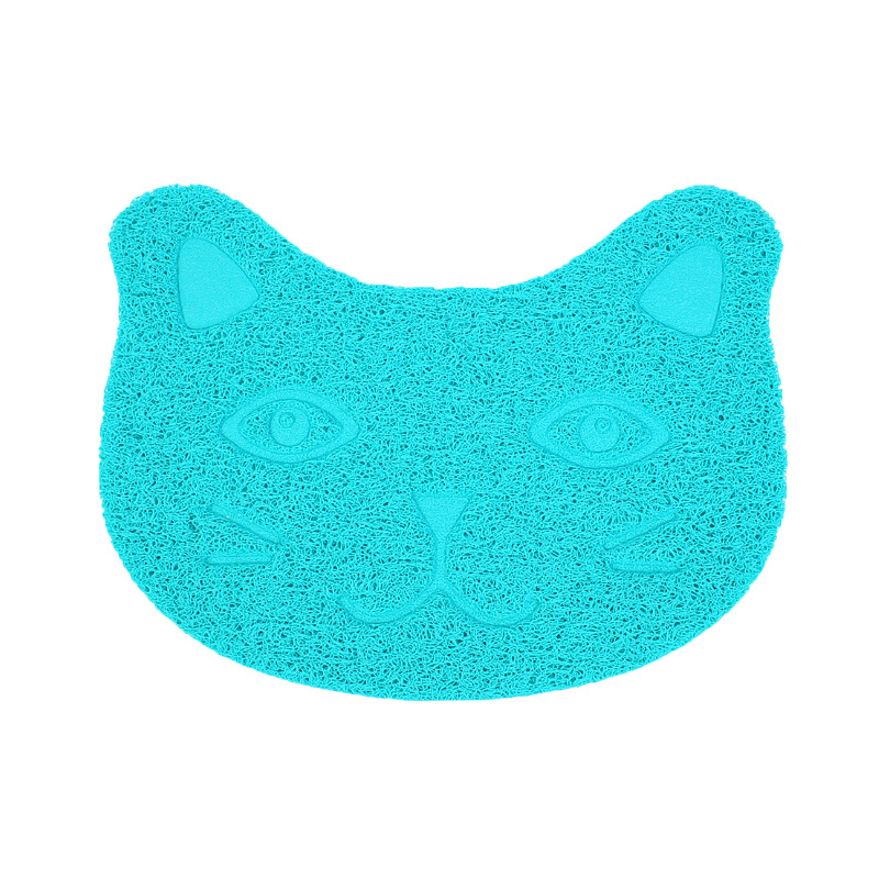 Cat Sky Blue