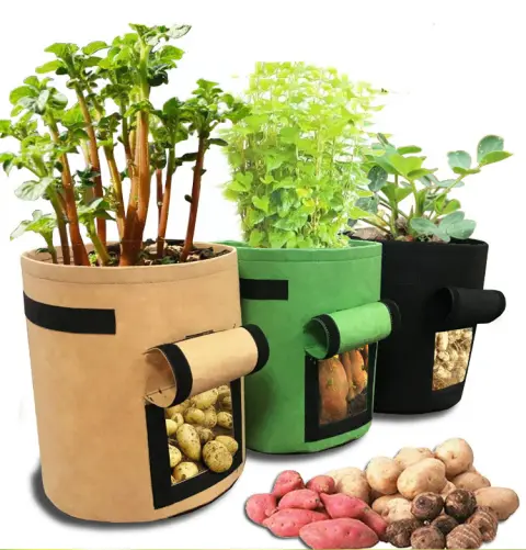 Planting Bag Potato