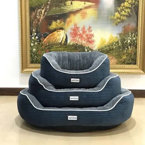 Kennel for Cats and Dogs