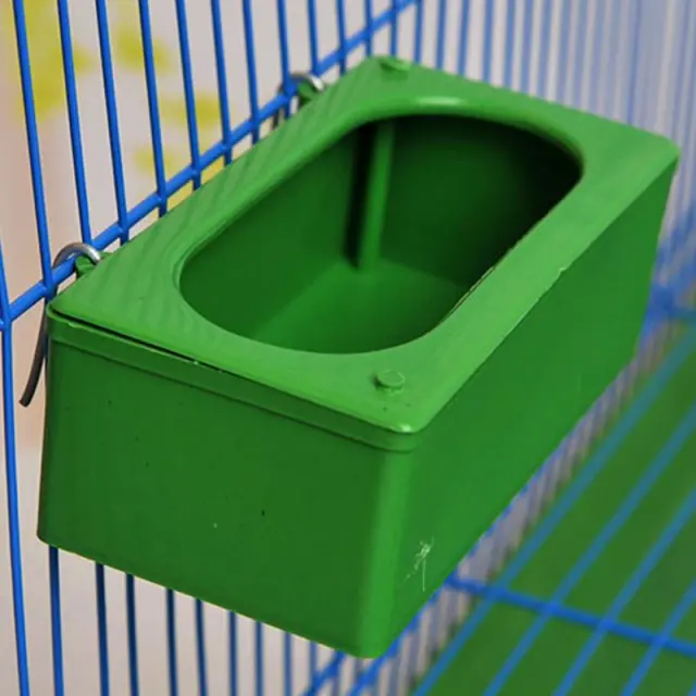 Splash proof Hanging Bird Food Container Green - Shop at LoveMi
