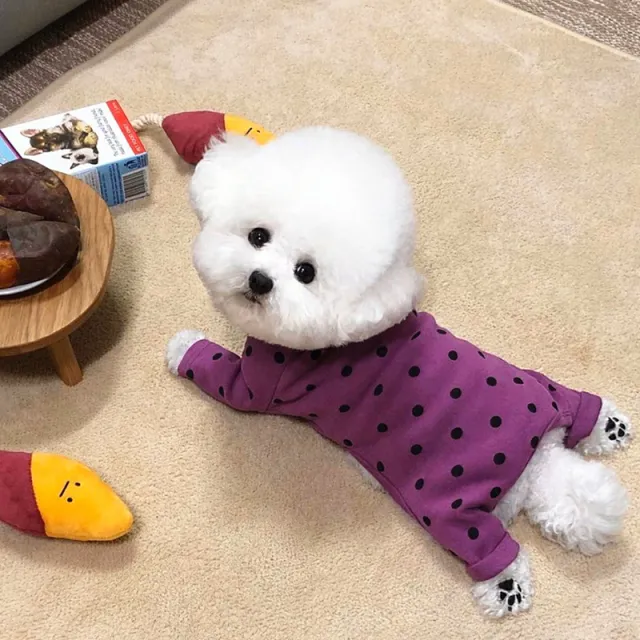 New Style Pet Four Foot Bottomed Household Clothes Purple - Shop at LoveMi