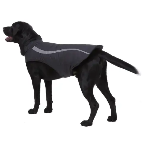 Dog Clothes Autumn Winter Coats
