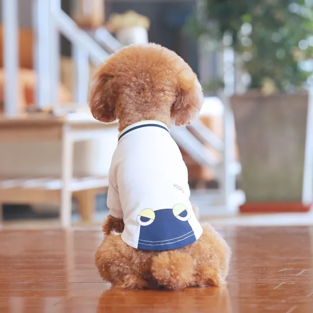 Teddy pet summer T shirt White - Shop at LoveMi
