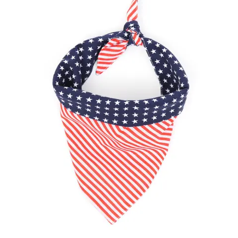 Pet Triangle Scarf Headband Jewelry