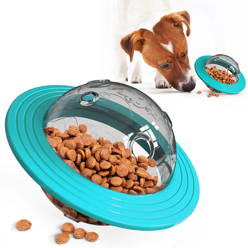 Missing Food Educational Toys