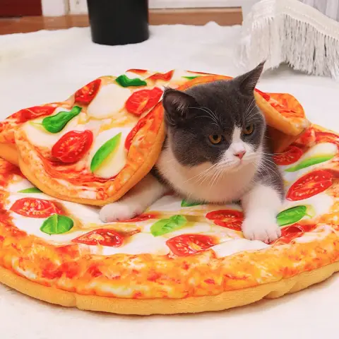 Simulation 3D Pizza Avocado Omelette Toast Pet Warm Blanket