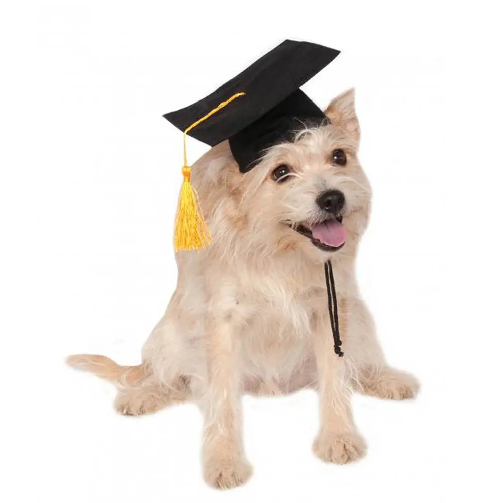 Tassel Degree Hat Pet Products - Black