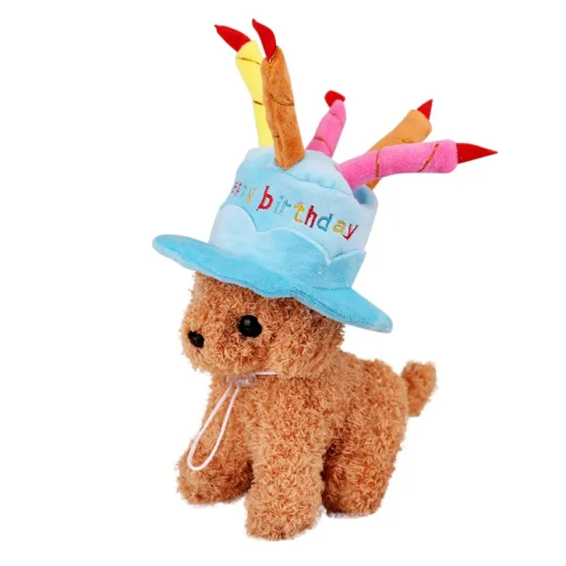 Dog birthday cake hat Blue - Shop at LoveMi