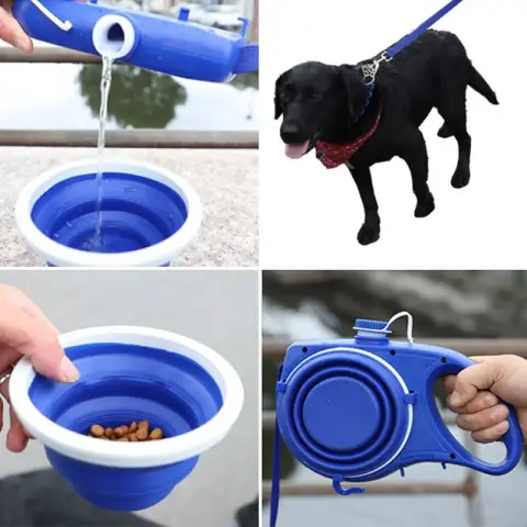 Pet Supplies with Water Bottle