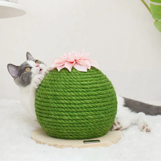 Cactus Cat Climbing Frame Green - Shop at LoveMi