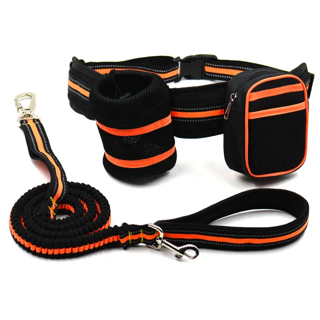 Reflective pet traction set Black Orange - Shop at LoveMi