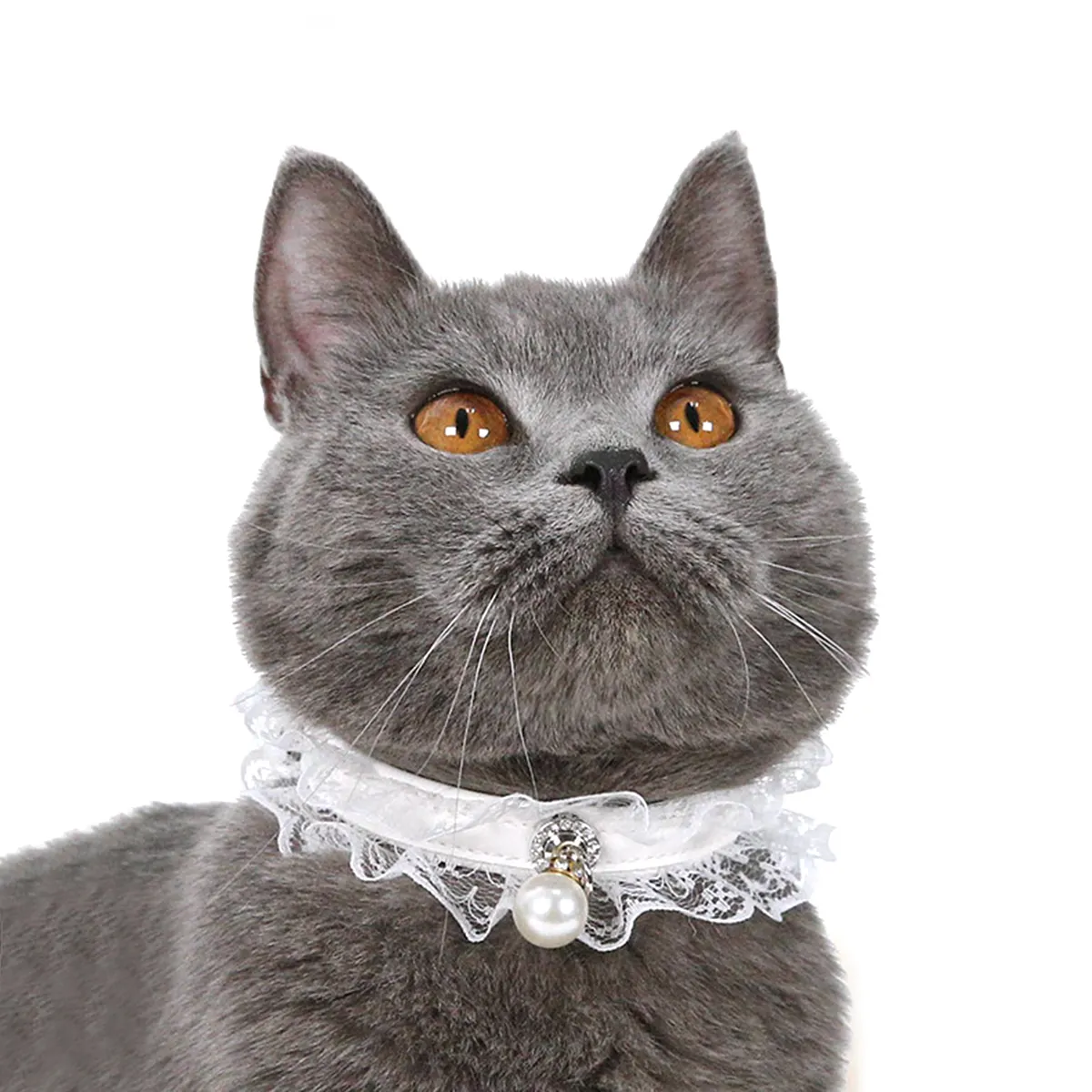 Pet cat bell black and white lace