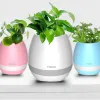 Touch-sensitive music vase desktop audio