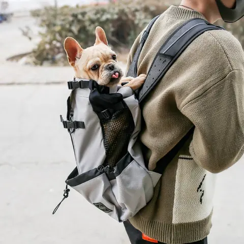 Pet Dog Carrier Bag for Dogs Backpack Out Double