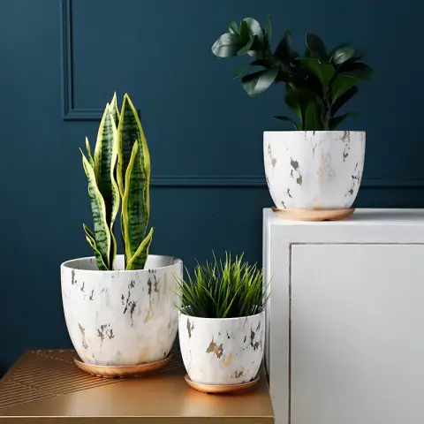 Ceramic Flowerpot