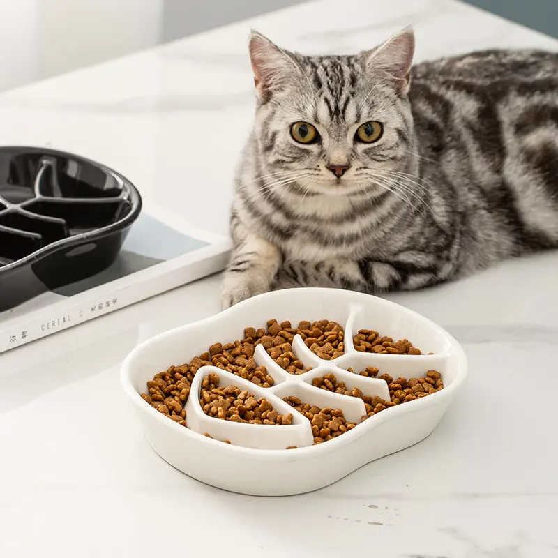 Slow Food Bowl Ceramic Cat
