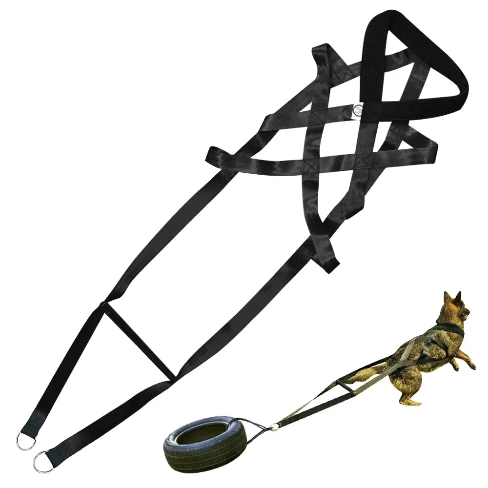 Dog Training Supplies Dog Leashes Chest Straps