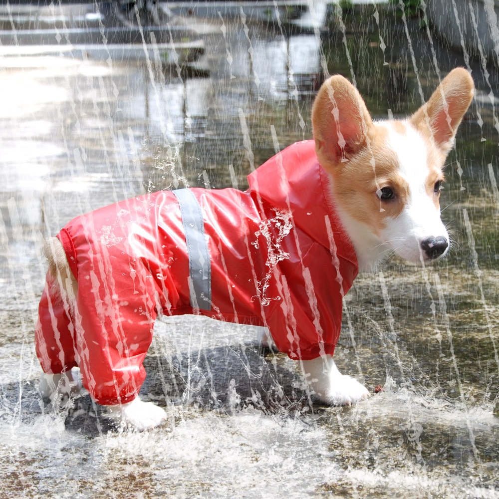 Reflective double layer pet waterproof raincoat