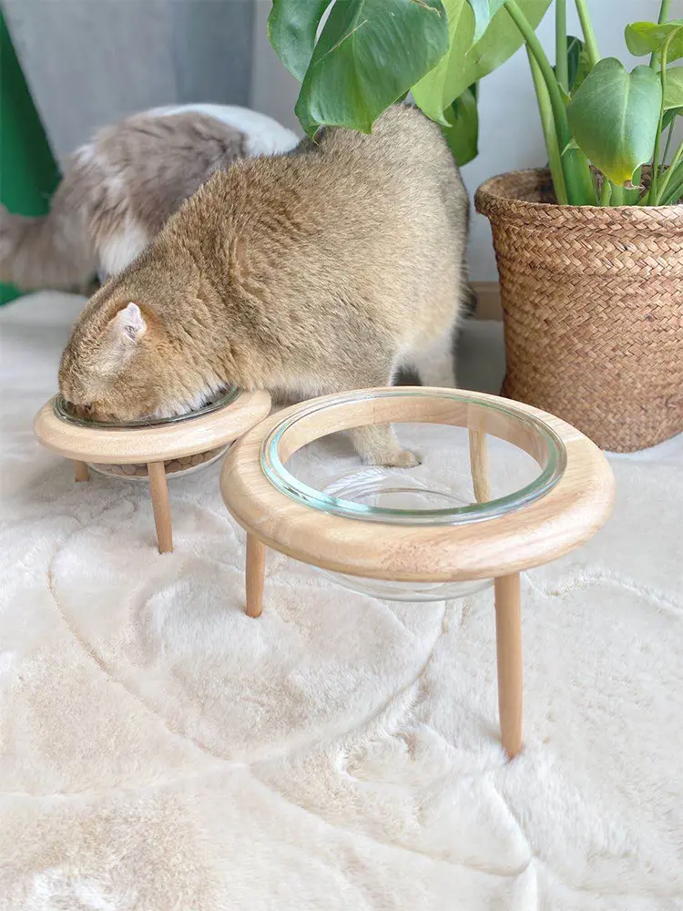Cat bowl pet bowl