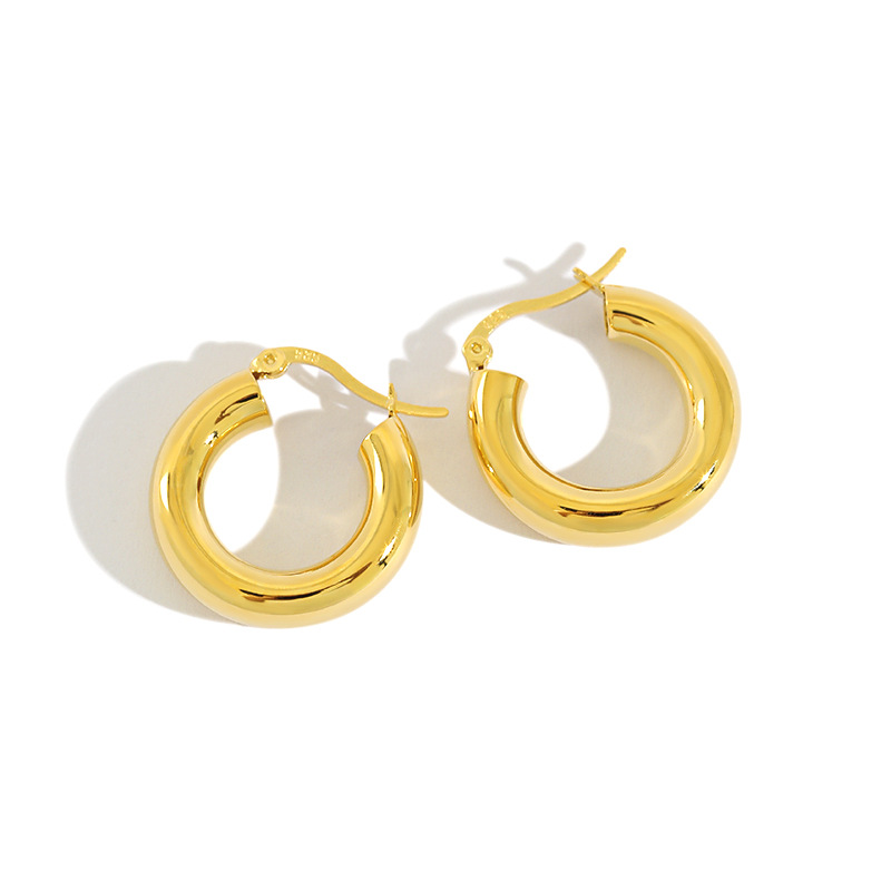 Metal ring clasp Earrings