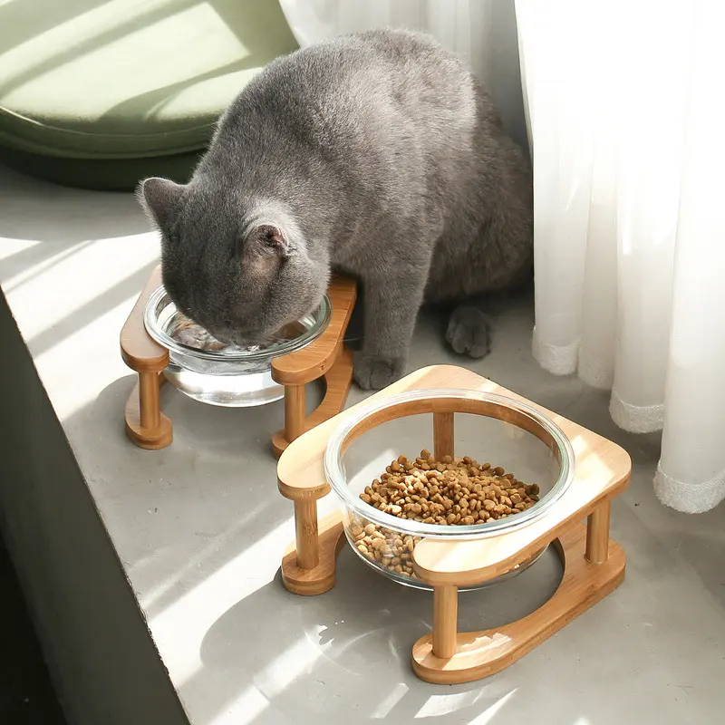 Glass Cat Bowl Cat Food Cat