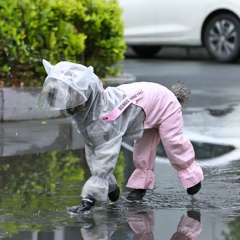 Splashproof raincoat with dog horn bib
