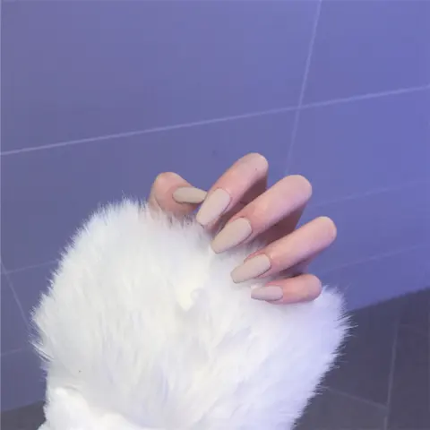 24 Pieces of Ballet Khaki Matte False Nails