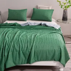 Simple Air Conditioning Quilt Made Of Spandex Ice Soft Silk - Green - View 1